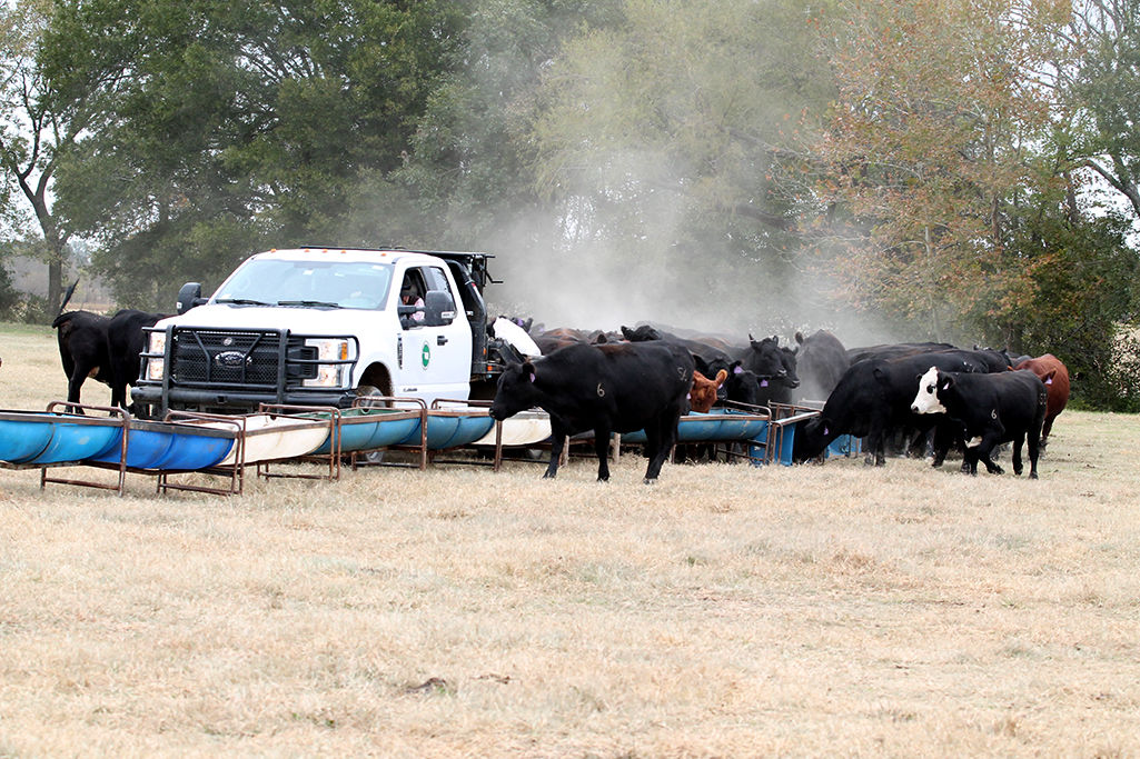 Oklahoma Department of Corrections Agri-Services Division